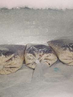Una foto de Hielitos de Galleta Oreo