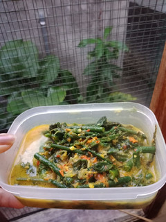 Foto resep Sayur Pakis kacang panjang Santan