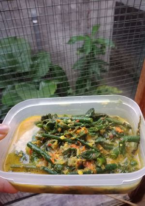 Foto resep Sayur Pakis kacang panjang Santan