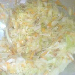 Cabbage carrot A picture of Cabbage carrot.
