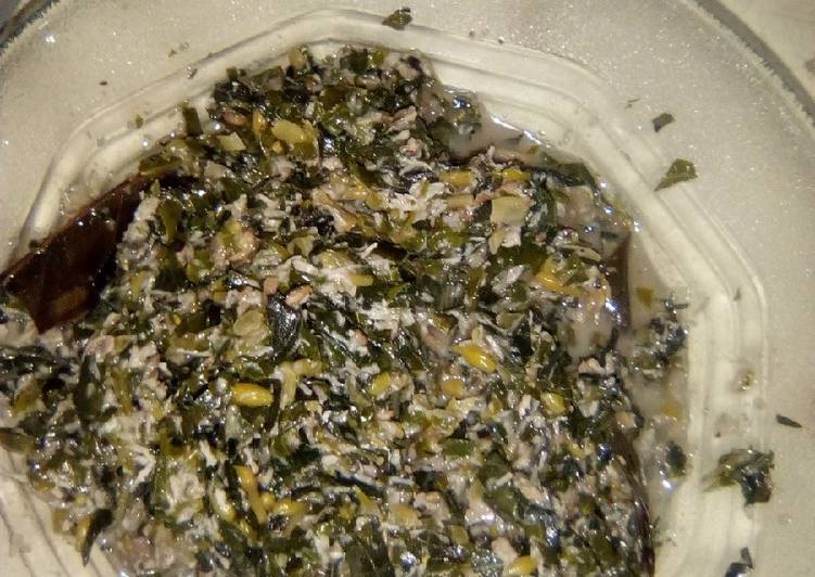 Langkah mengolah Jangan paitan yang Menggugah Selera