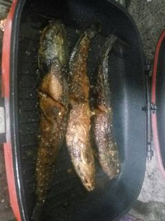 Foto resep Lele bakar