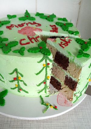 A picture of Checkerboard cake.