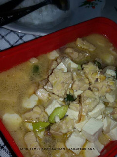 Foto resep Tahu tempe kuah santan