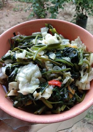 Foto resep Tumis Kol Kangkung