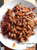 Keringan Tempe Teri
