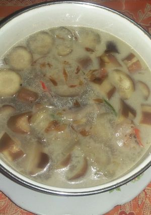 Foto resep Sayur Lodeh Terong Ndesoo