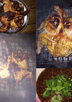 รูปของ ไก่ย่างน้ำผึ้งนมสด