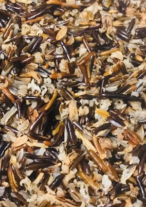 Una foto de Arroz Salvaje