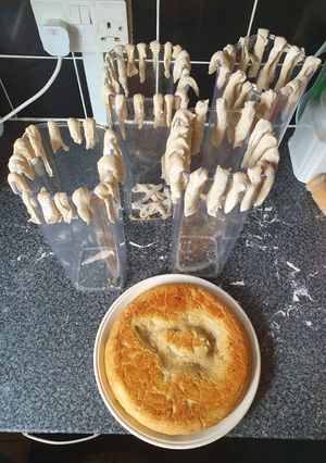 A picture of Quick Pizza dough/Pasta strands.