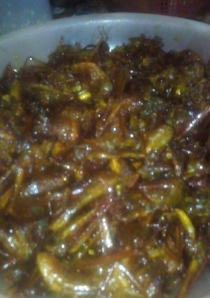 Foto resep Sambal goreng belalang