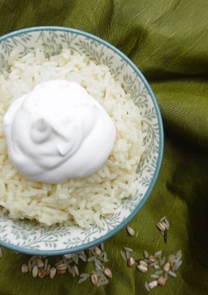 A picture of Rice topped with Greek Yogurt.