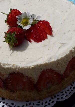 Une photo de Fraisier