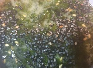 Una foto de Sopa miso con algas crujientes Gim Jaban y sésamo negro