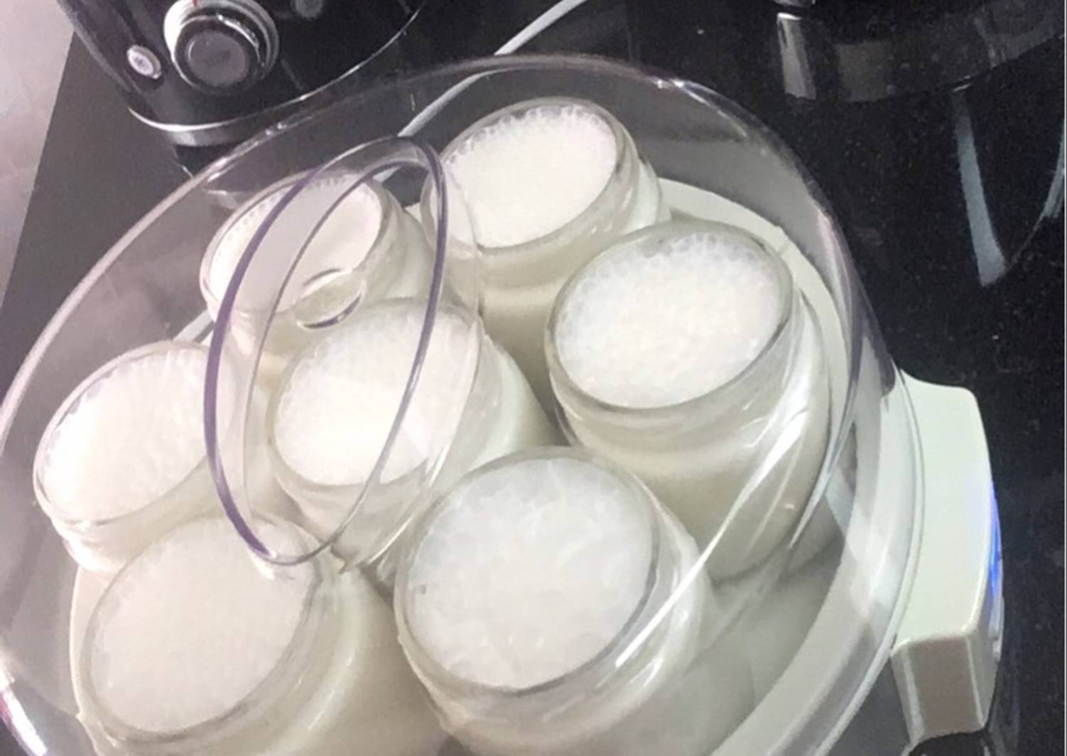 Yogurt en yogurtera Receta de anapaulabarbieri1983 Cookpad