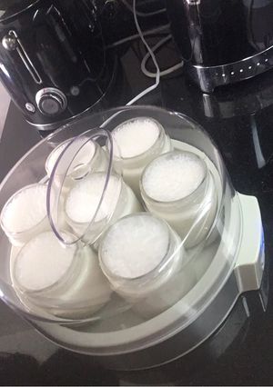Una foto de Yogurt en yogurtera