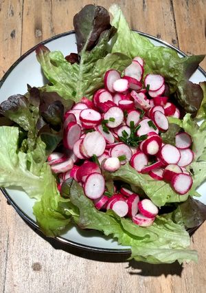 Une photo de Salade de radis roses