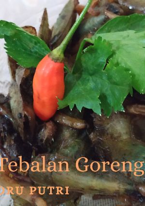 Foto resep Tebalan Goreng Hitam