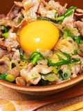 Garlic Soy Sauce Scented Pork and Green Onion Stamina Bowl