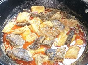 Foto resep Opor Ayam, Paru, Limpa, dan Tahu (Komplit)