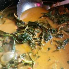 A picture of Gulai pucuk ubi.