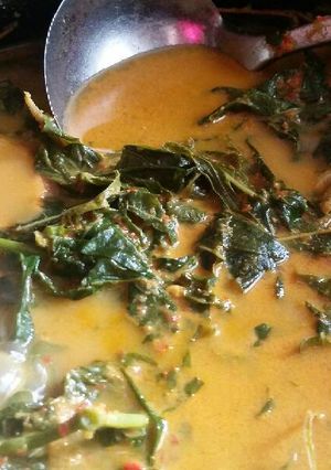 Foto resep Gulai pucuk ubi
