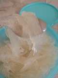 Puding Kelapa Muda