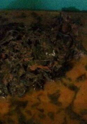 Foto resep Gulai pakis khas padang