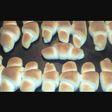 عجينة فطائر هشة 💙😻😋