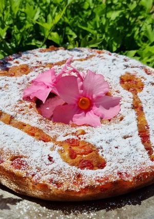 Une photo de Clafoutis aux cerises