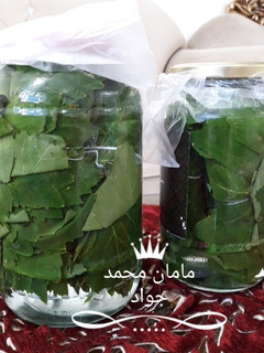 عکسی از دستور نگهداری طولانی مدت برگ مو