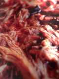 spicy dr pepper pulled pork