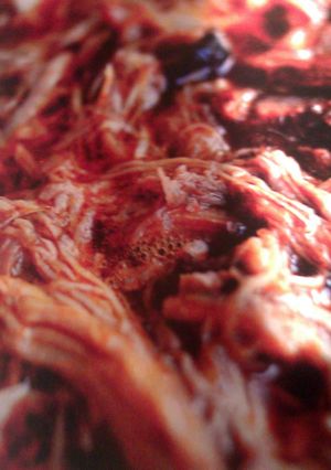 A picture of spicy dr pepper pulled pork.