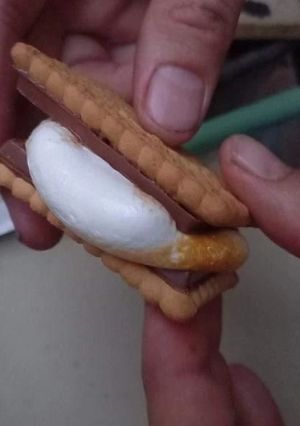 Une photo de Le S'more ou gim-o-choco