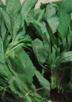 Foto resep Tumis daun sintrong