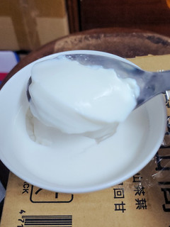 A picture of 奶酪(純牛奶版,無鮮奶油).