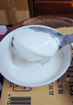 A picture of Milk Pudding (Pure Milk Version, No Cream).