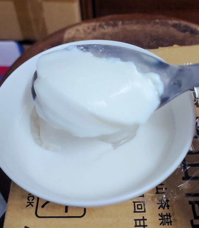 奶酪（純牛奶版，無鮮奶油） 的食譜成品照片