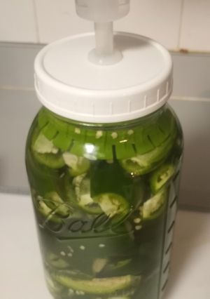A picture of Lacto Fermented Jalapeños.