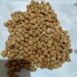 Kacang Telur
