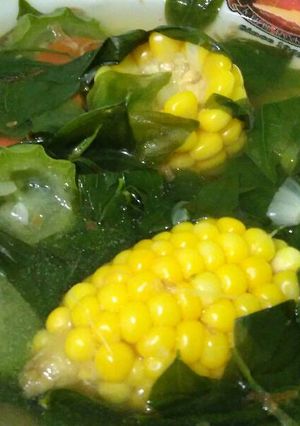 Foto resep Sayur bening daun katuk