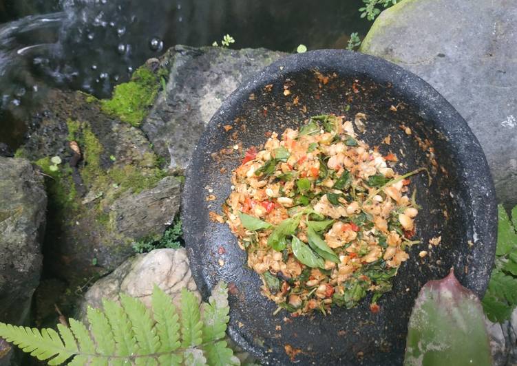 Sambal Tempe