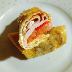 A picture of My low carb cheese wrap with turkey.