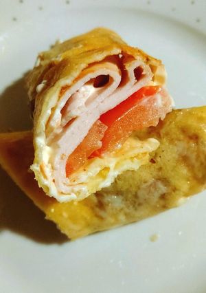 A picture of My low carb cheese wrap with turkey.