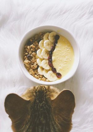 Une photo de Nice cream Mangue & Banane