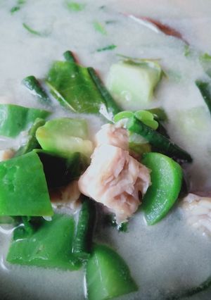 Foto resep Sayur Lodeh Sederhana