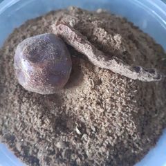 A picture of Roasted Garam Masala My version.