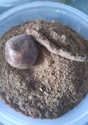A picture of Roasted Garam Masala My version.