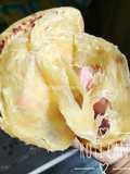 Roti Cane/Martabak Maryam