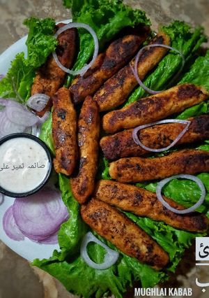 A picture of Mughlai kabab.